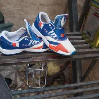 کفش زدیکسن نو