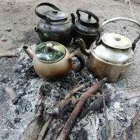 تور گردشگری یه روزه بانوان