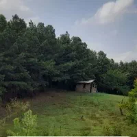 فروش-زمین-باغی-و-گلخانه