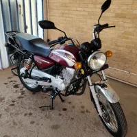 باکسر 200 عروسک