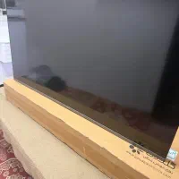 ال ای دی چی پلاس هوشمند ۵۰اینچ درحداک