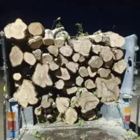هرس درخت وخریدارهمه نوع چوب وحواله نوین چوب