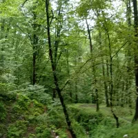 جویای سرایداری نگهبانی برا خودم هستم