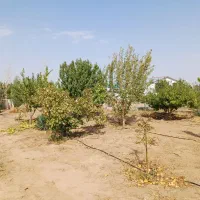 زمین-سندتک-باغ-شهرکی-قانونی-عرصه-سهیلیه