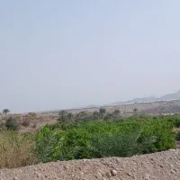 ۸هکتار زمین باغی در نازدشت برنطین