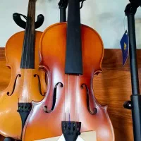 ویولن/ تی اف 142 / صدای دلنشین