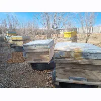 فروش کندو و قاب مستعمل