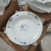 بشقاب چینی طرح ارکوپال