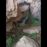 نیم هکتار زمین کشاورزی با آب و سند