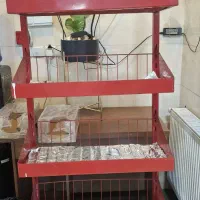 استند تنقلات