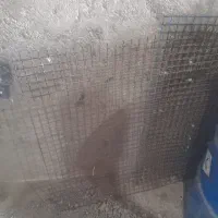 محکم برای  کبوتر و مرغ یا سگ
