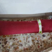 موکت پارس