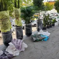 خدمات باغبانی وگل کاری در تمام نقاط تهران