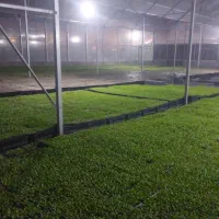 سلام اجاره گلخانه نو ساز ۲۵۰۰ متر
