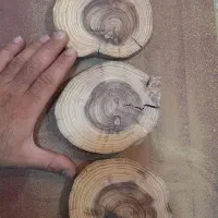 گِرده چوب