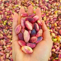 ترمینال فرآوری پسته شهرکی