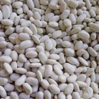 بنکداری موادغذایی قوام