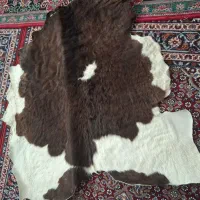 پوست گاو