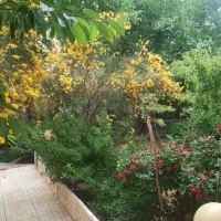 باغ ویلاجنگلی مالک هستم کردان سهیلیه