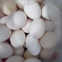 تخم مرغ محلی