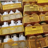 پیت ترشی و دبه خیارشور