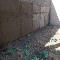 بنای ساختمان سیمان کار هستم و دیوار چینی