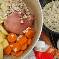 غذای خانگی گربه پخت روز توضیحات بخونید