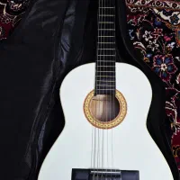 گیتار نو