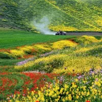 آرماتور بند