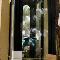 بوفه سالم