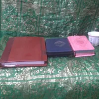 ام عباس الکشافهه