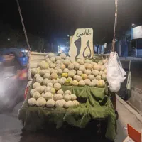 طالبی ساوه قیمت15تومن کیلوی