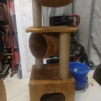 لانه گربه