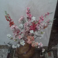 گل های زیباودکوری ها