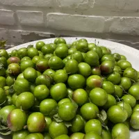 گوجه سبز تازه چین