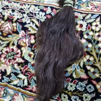 موی خام