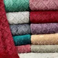 پتومیشورم دونه ای ۲۰۰