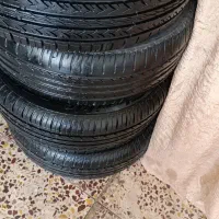 لاستیک ساینا کویر