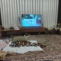 رهن و اجاره خانه در کشف. خیابان زکریا