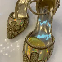 کفش مجلسی
