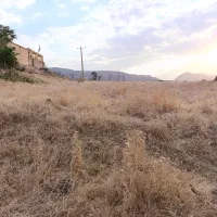 زمین مسکونی ویسیان