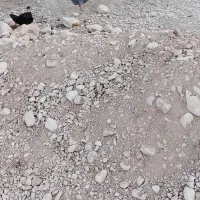 فروش مرغ