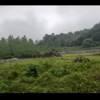 ۲۵۰متر با کاربری مسکونی بر جاده