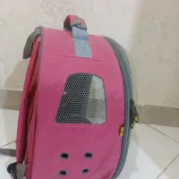 وسایل کامل خرگوش و حیوانات