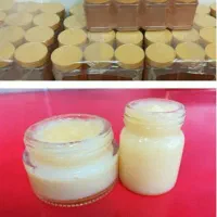 خرید ژل رویال ۱۰۰ گرمی / مستقیم از زنبوردار