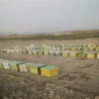 کندو خالی. ..تعداد30عدد کندوخالی سالم تمیز