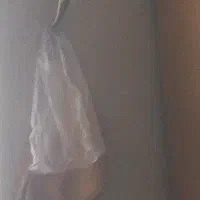 کارت کیمدی