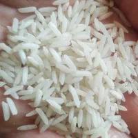 برنج هندی