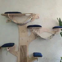 اسکرچر درختی گربه