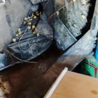 شلنگ همراه با شیر آماده بدون عیب  بفروش میرسد